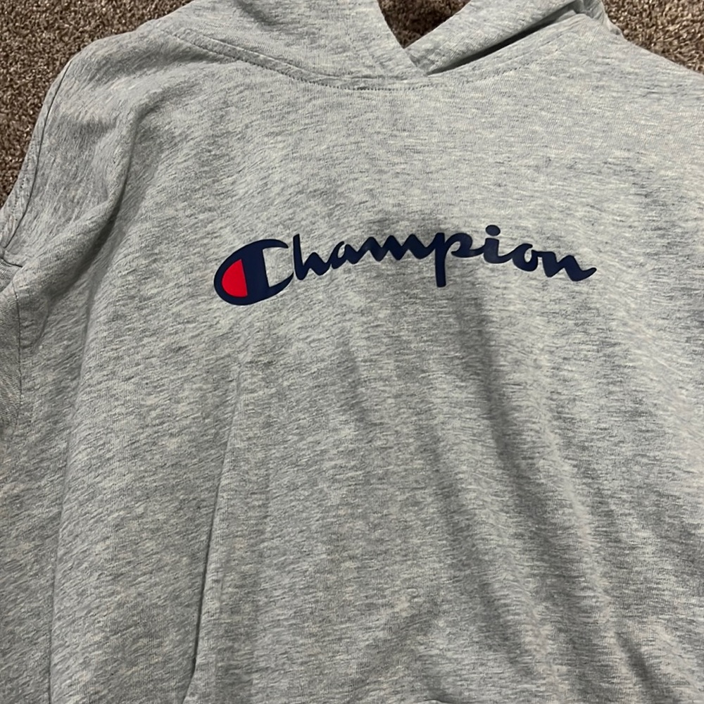 grey champions hoodie